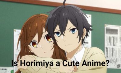 Horimiya: A charming anime with heartwarming moments